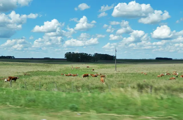 産地のこだわり